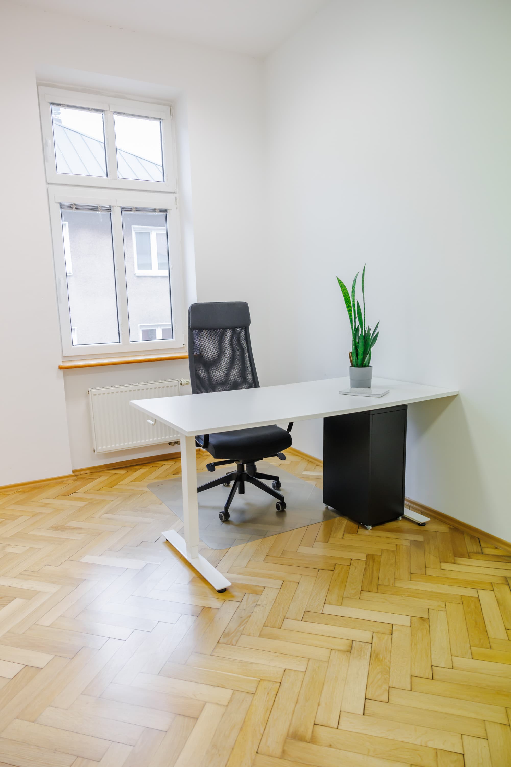 Coworking Smetana 13